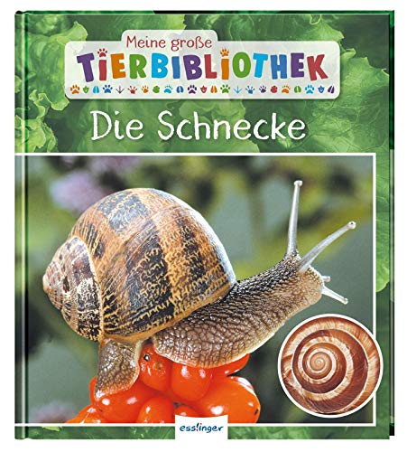 Starosta, Paul: Meine große Tierbibliothek: Die Schnecke