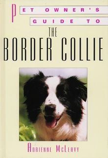 Pet Owners Guide to the Border Collie