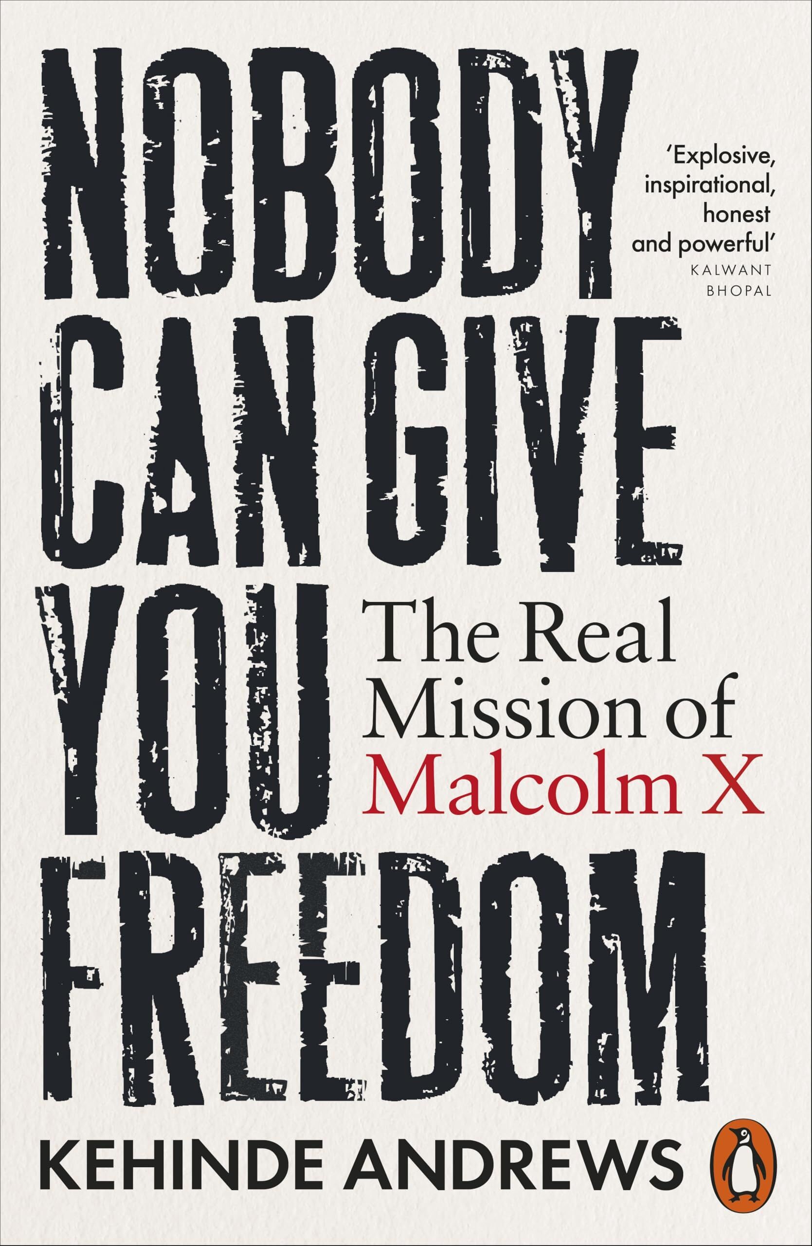 Andrews, Kehinde: Nobody Can Give You Freedom