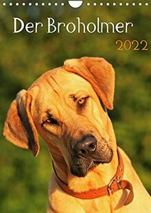 Der Broholmer (Wandkalender 2022 DIN A4 hoch) [Calendar] Nixe [Calendar] Nixe