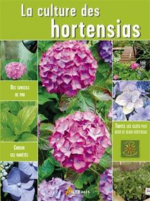 Hortensias