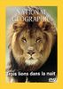 National Geographic : Trois lions dans la nuit 