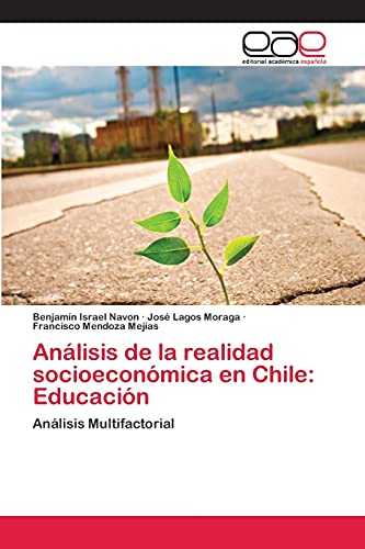 Análisis de la realidad socioeconómica en Chile: Educación: Análisis Multifactorial