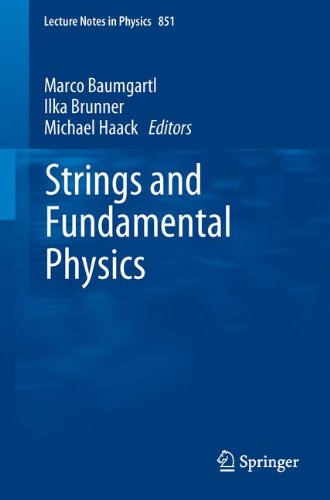 Strings and Fundamental Physics (Lecture Notes in Physics)