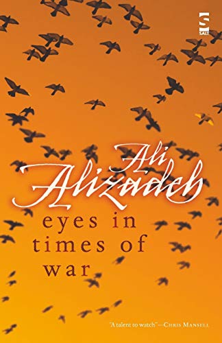 Eyes in Times of War (Salt Modern Poets)
