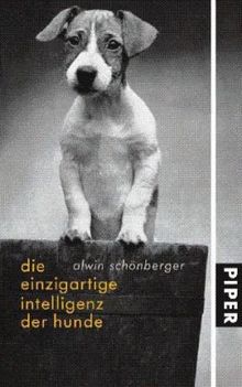 Die einzigartige Intelligenz der Hunde