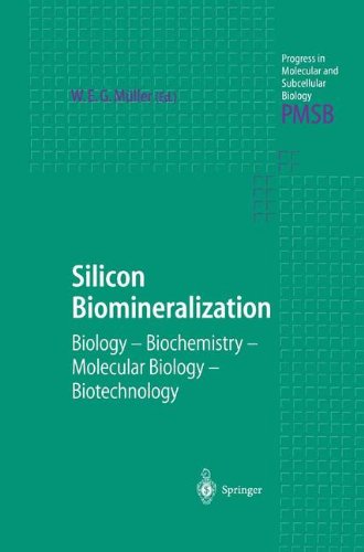 Silicon Biomineralization: Biology _ Biochemistry _ Molecular Biology _ Biotechnology (Progress in Molecular and Subcellular Biology)
