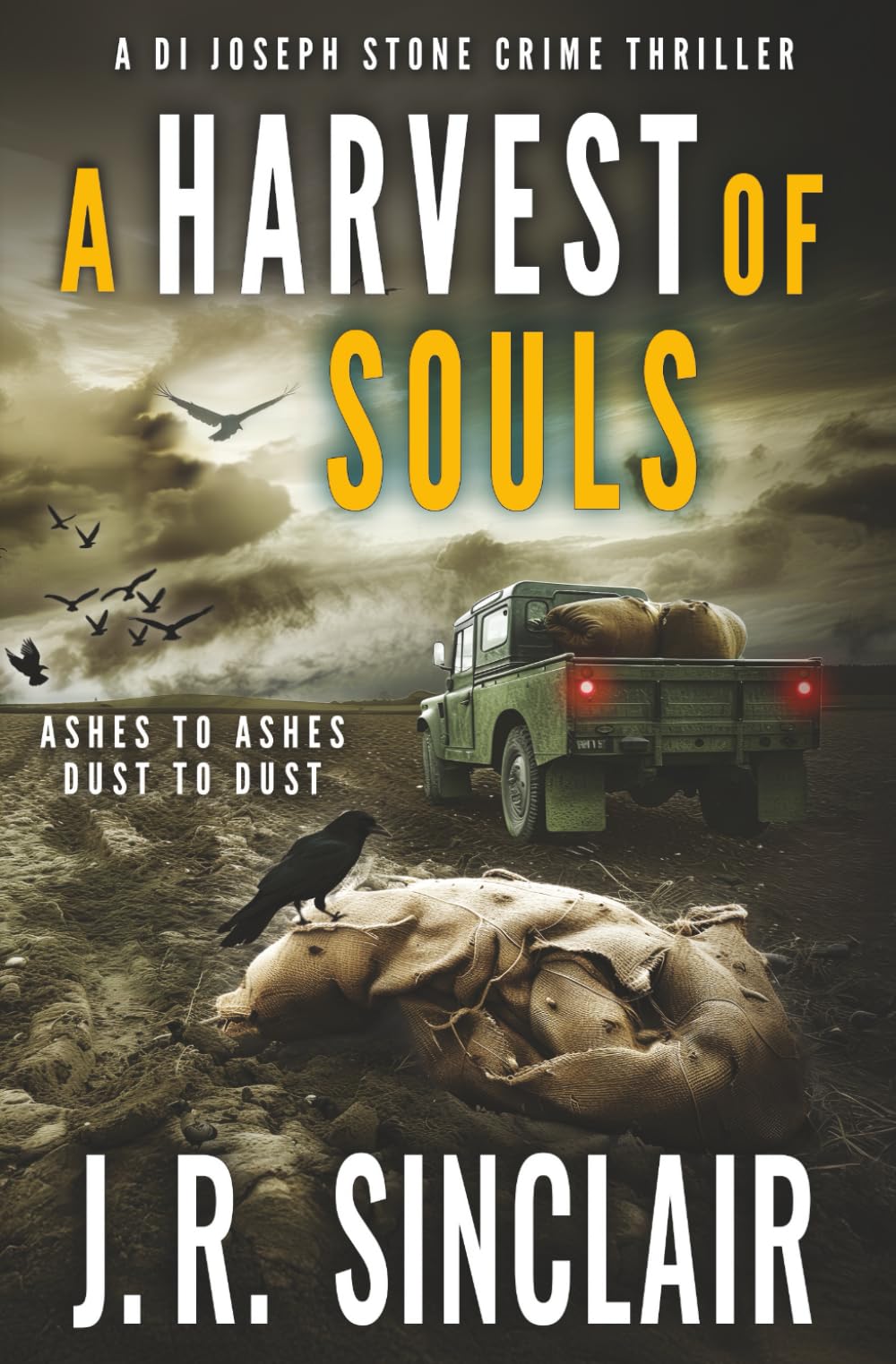 A Harvest of Souls (DI Stone Oxford Crime Thrillers, Band 5)