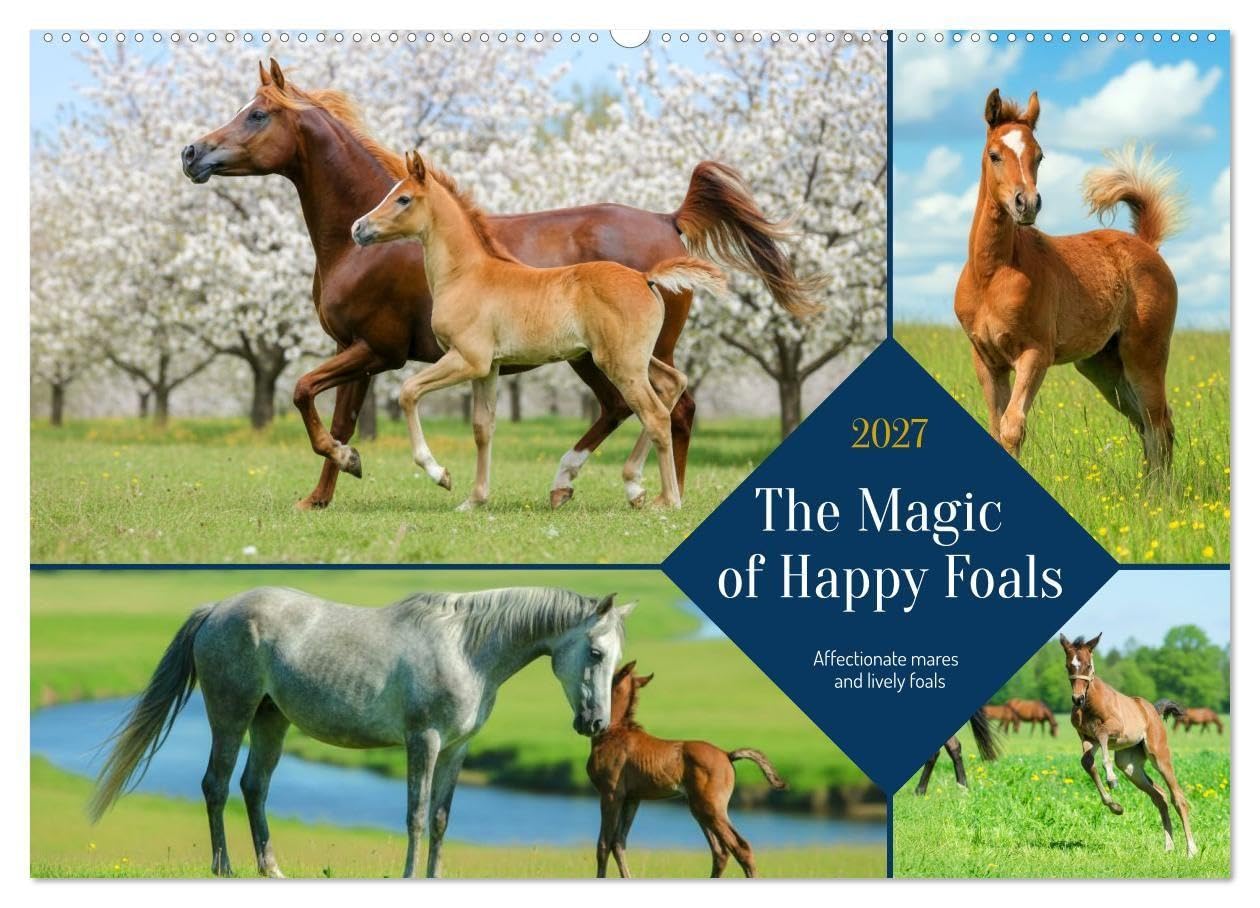 The Magic of Happy Foals (Wall Calendar 2027 DIN A2 landscape), CALVENDO 12 Month Wall Calendar
