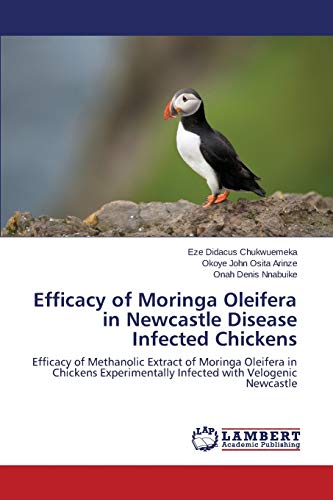 Efficacy of Moringa Oleifera in Newcastle Disease Infected Chickens: Efficacy of Methanolic Extract of Moringa Oleifera in Chickens Experimentally Infected with Velogenic Newcastle
