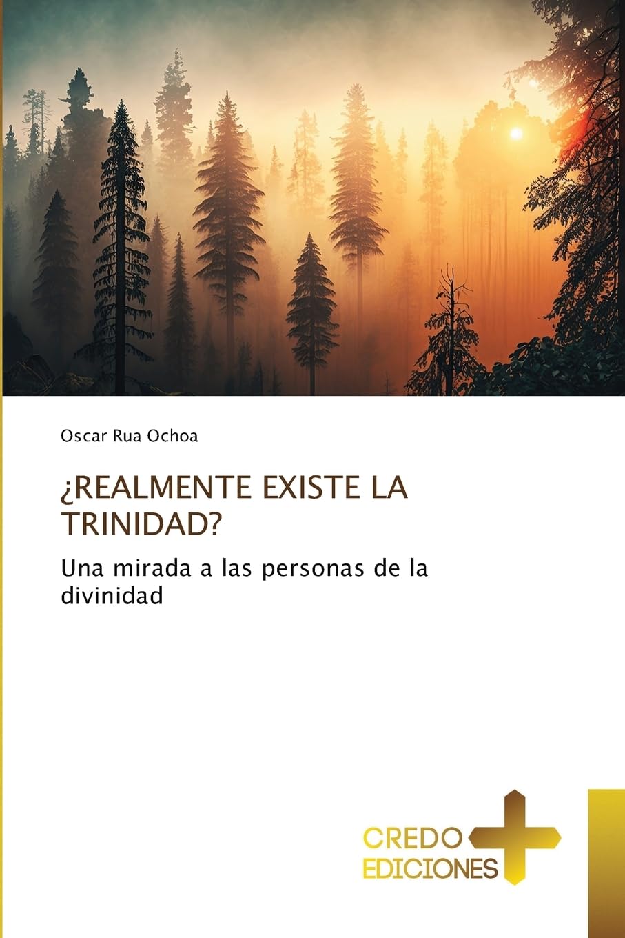 ¿REALMENTE EXISTE LA TRINIDAD?: Una mirada a las personas de la divinidad