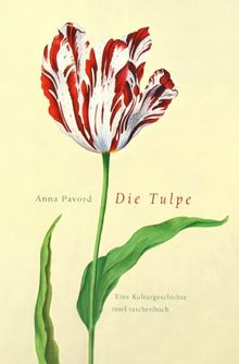 Die Tulpe: Eine Kulturgeschichte (insel taschenbuch)