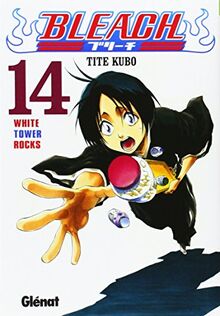 Bleach 14 (Shonen Manga)