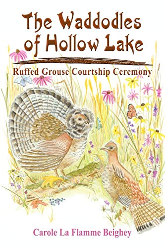 The Waddodles of Hollow Lake: Ruffed Grouse Courtship Ceremony
