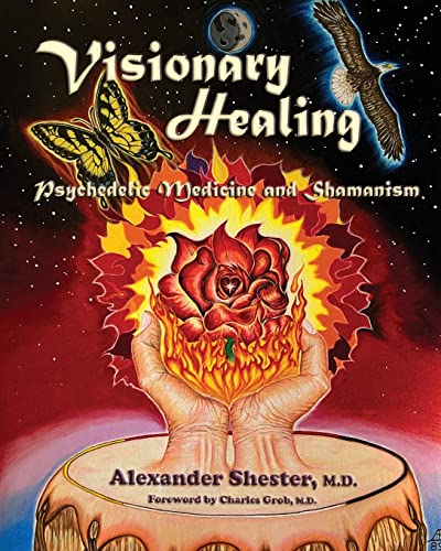 VISIONARY HEALING