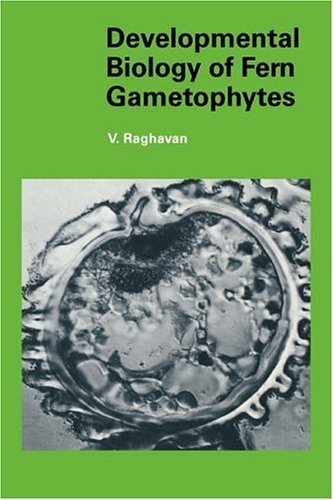 Biology of Fern Gametophytes (Developmental and Cell Biology Series, Band 20)
