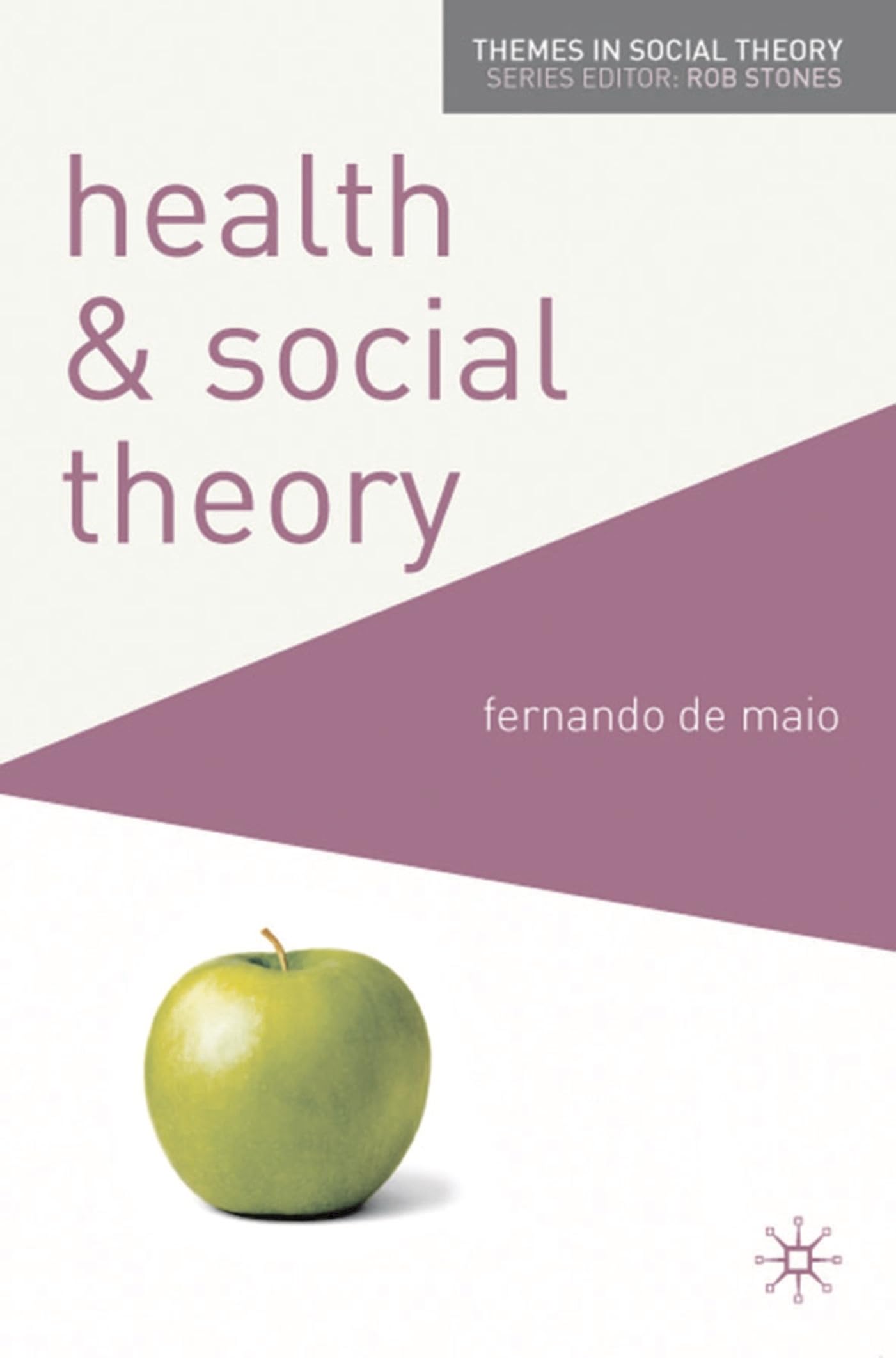 Health and Social Theory (Themes in Social Theory)