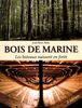 Bois de marine : les bateaux naissent en forêt