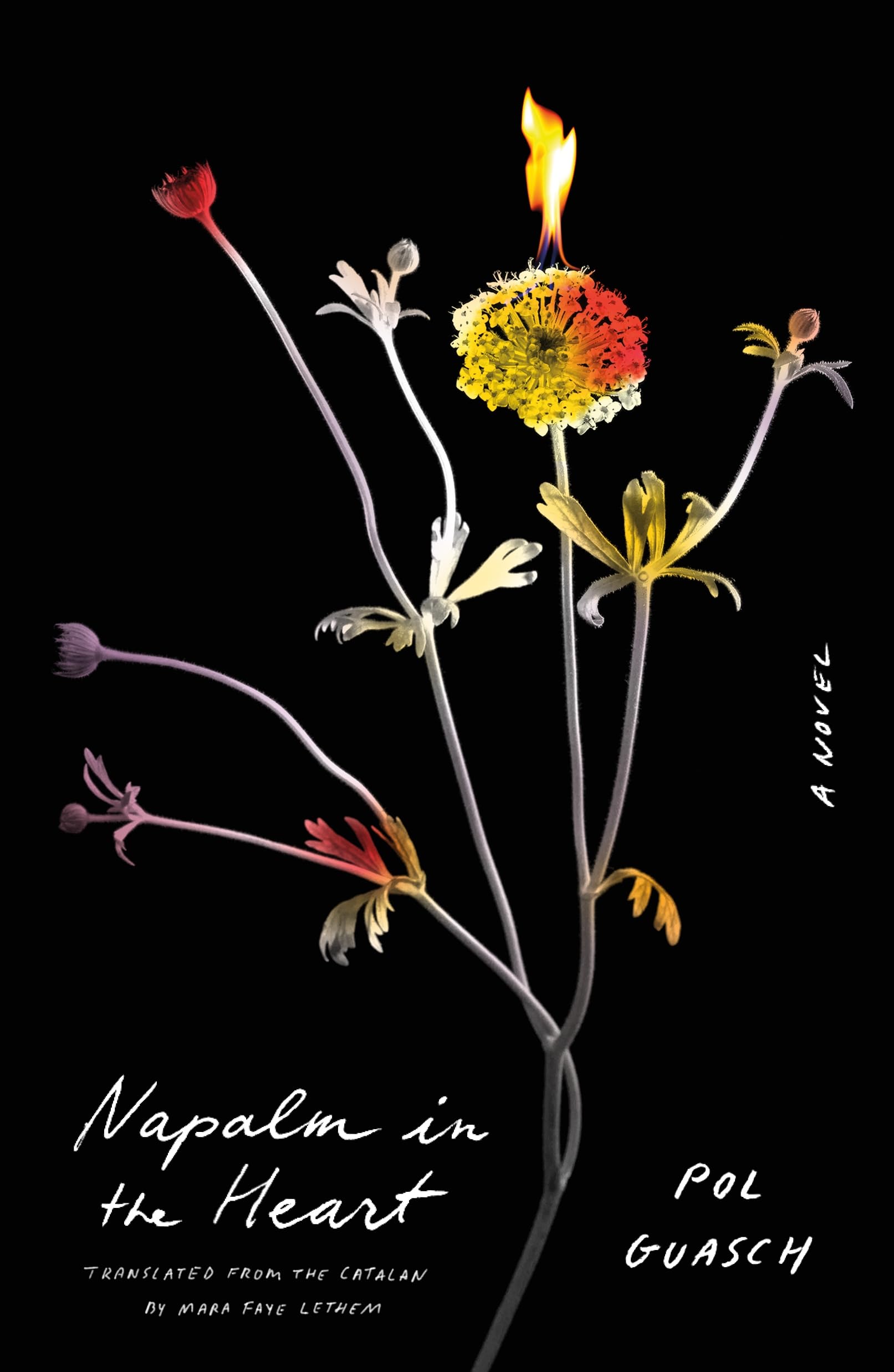 Pol Guasch Napalm In The Heart
