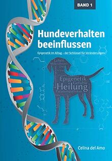 Hundeverhalten beeinflussen: Epigenetik im Alltag – der Schlüssel für Veränderungen