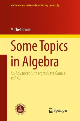 Some Topics in Algebra: An Advanced Undergraduate Course at PKU (Mathematical Lectures from Peking University)