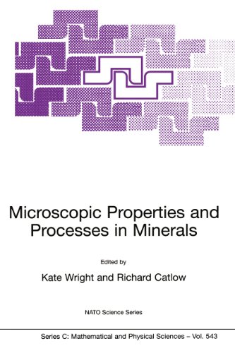 Microscopic Properties and Processes in Minerals (Nato Science Series C:, 543, Band 543)