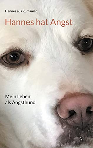 Hannes hat Angst: Mein Leben als Angsthund