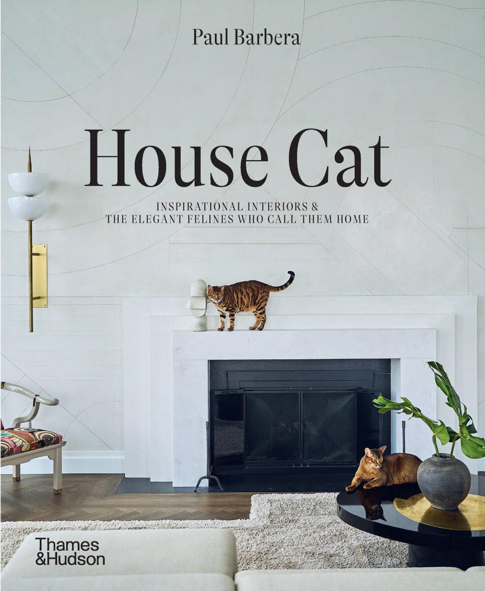 House Cat - Neuware