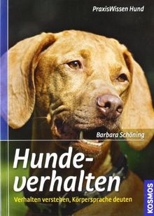 Hundeverhalten Verhalten Verstehen Korpersprache Deuten Von Barbara Schoning