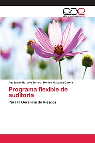 Programa flexible de auditoría: Para la Gerencia de Riesgos