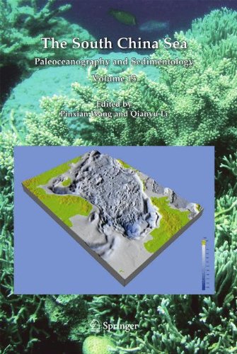 The South China Sea: Paleoceanography and Sedimentology (Developments in Paleoenvironmental Research)