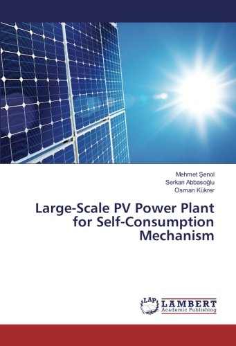 Large-Scale PV Power Plant for Self-Consumption Mechanism