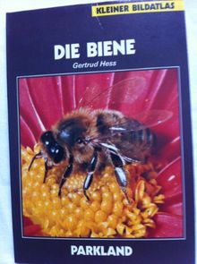 Die Biene