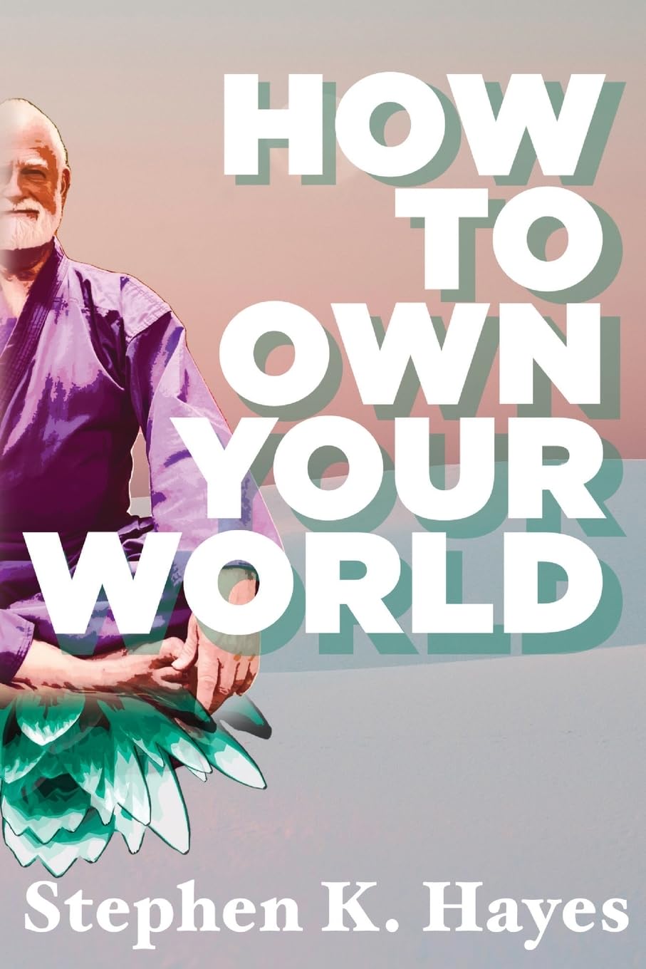 Hayes, Stephen K. How To Own Your World