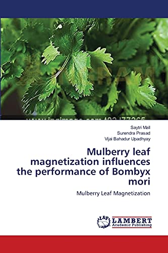 Mulberry leaf magnetization influences the performance of Bombyx mori: Mulberry Leaf Magnetization