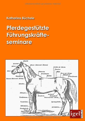 Pferdegestützte Führungskräfteseminare