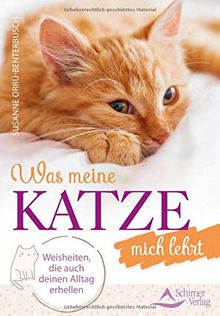 Was meine Katze mich lehrt: Weisheiten, die auch deinen Alltag erhellen