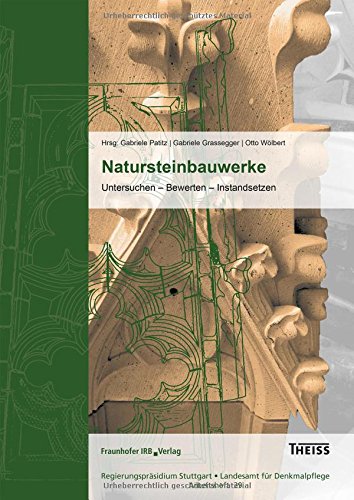 Natursteinbauwerke: Untersuchen - Bewerten - Instandsetzen.