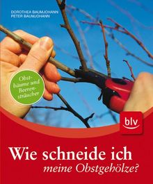 Wie schneide ich meine Obstgehölze?: Obstbäume und Beerensträucher