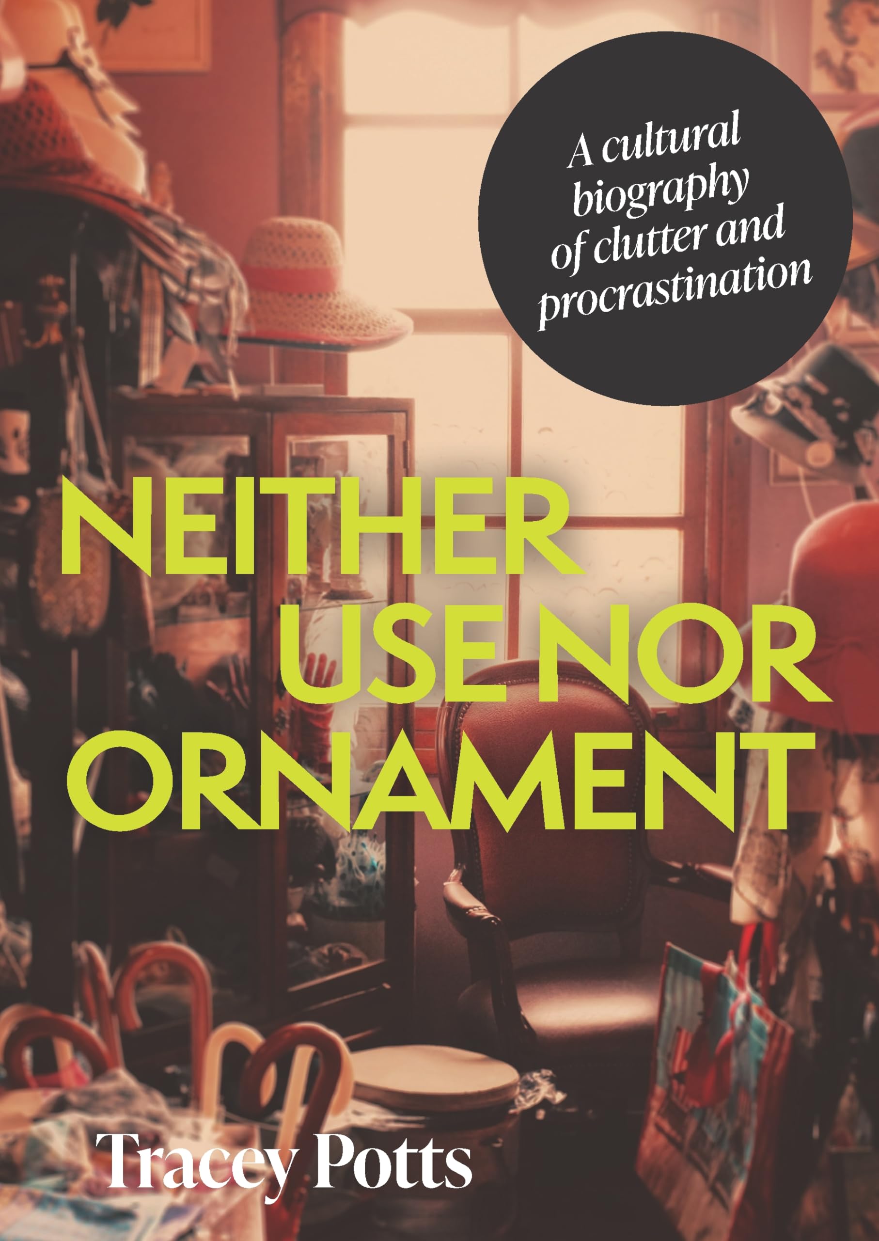 Neither use nor ornament: A cultural biography of clutter and procrastination