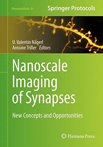 Nanoscale Imaging of Synapses: New Concepts and Opportunities (Neuromethods)