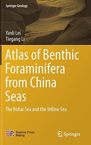 Atlas of Benthic Foraminifera from China Seas: The Bohai Sea and the Yellow Sea (Springer Geology)