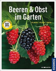 Beeren und Obst im Garten: gestalten - pflanzen - ernten (Mein Garten)