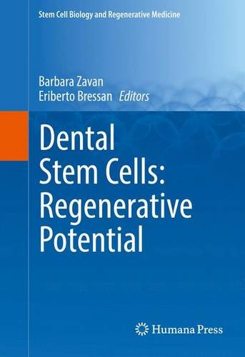 Dental Stem Cells: Regenerative Potential (Stem Cell Biology and Regenerative Medicine)