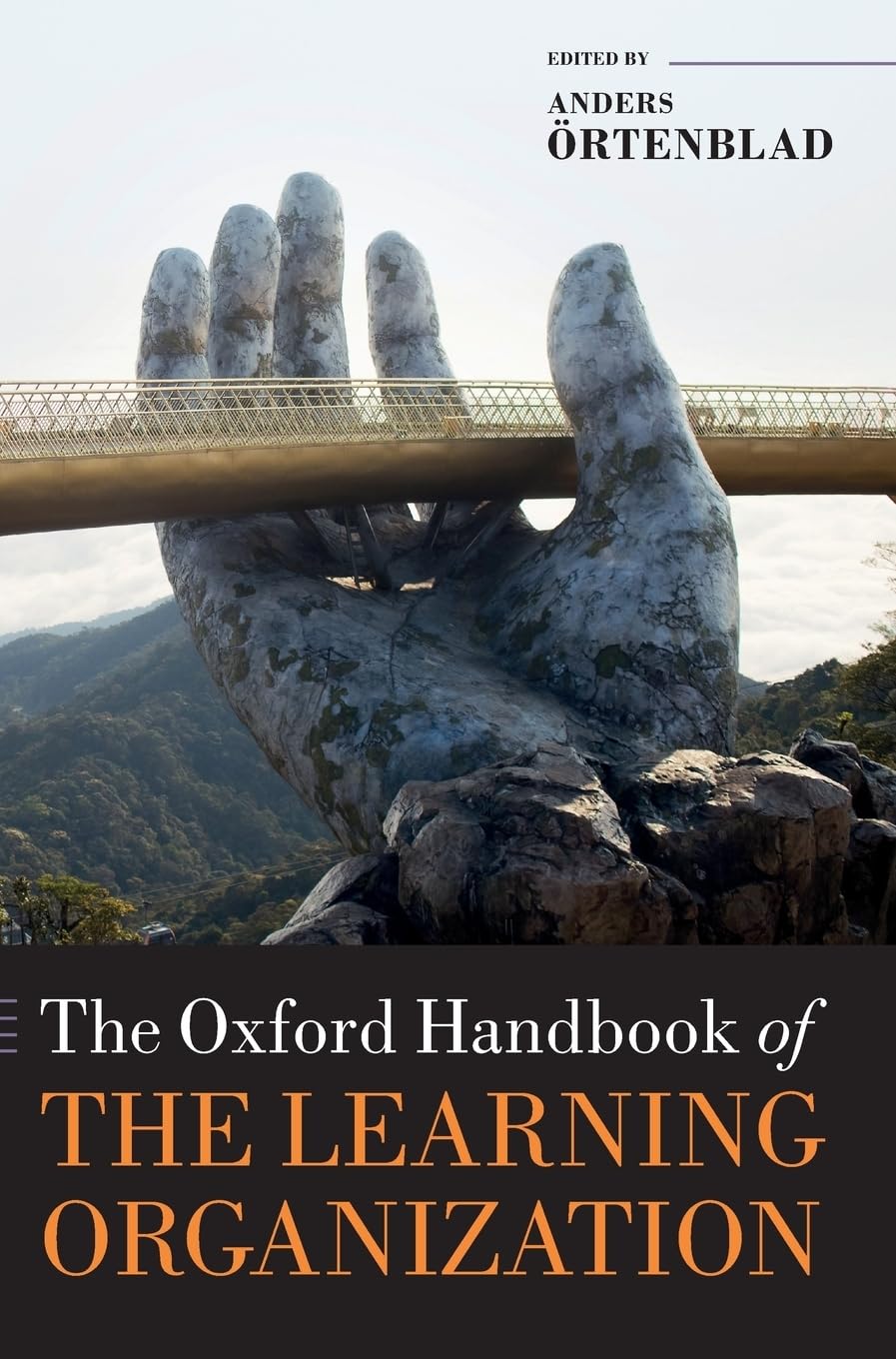 Oxford Handbook of the Learning Organization (Oxford Handbooks)