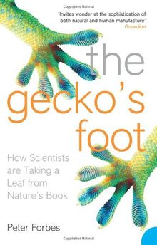 Gecko's Foot: How Scientists Are Taking a Leaf from Nature's Book