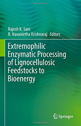 Extremophilic Enzymatic Processing of Lignocellulosic Feedstocks to Bioenergy