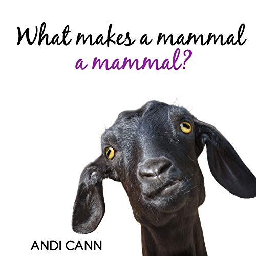 What Makes a Mammal a Mammal? (Animal Classes, Band 3)