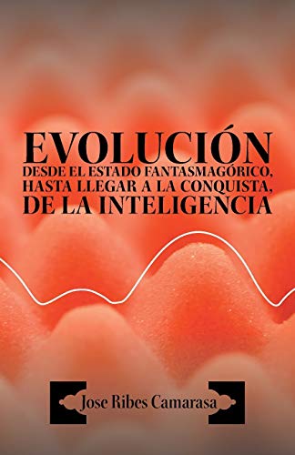 Evolución Desde El Estado Fantasmagórico, Hasta Llegar A La Conquista, De La Inteligencia