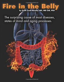 Fire In The Belly: The Surprising Cause of Most Diseases, States Of Mind and Aging Processes